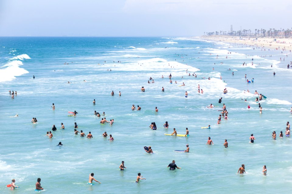 aerial view of group of people swimming on beach