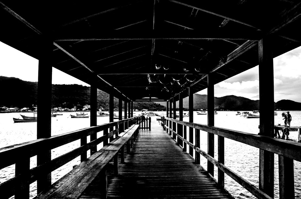 Wood, Beach, Nature