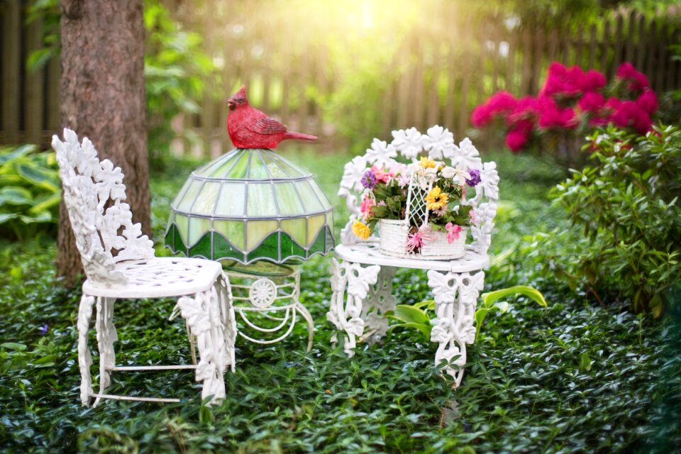 Blossoms white iron chairs garden