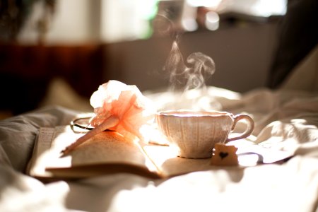 teacup on book beside pink flower decor