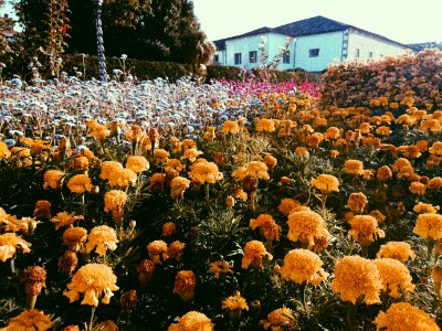 Braga, Portugal, Colorful photo