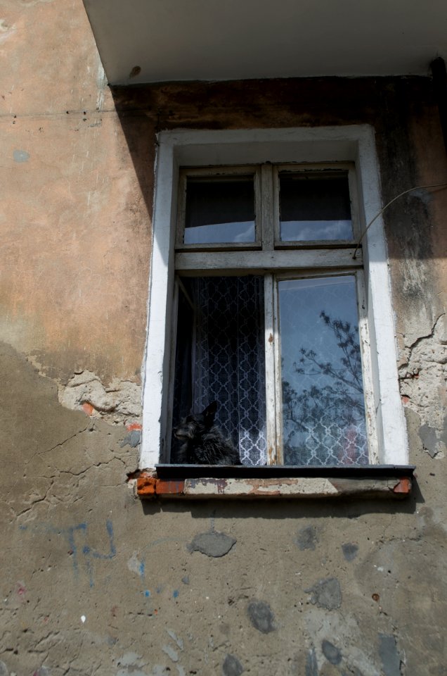 Looking at, Old building, Window