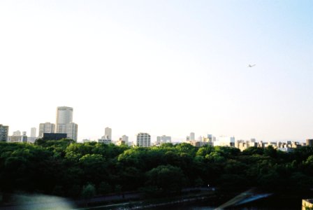 city buildings and green trees during daytime photo
