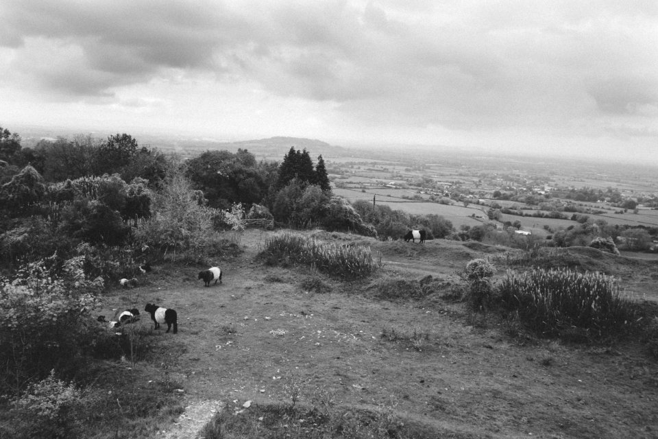 Crickley hill country park, Gloucester, United kingdom