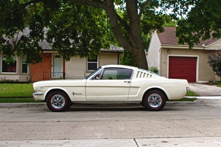 white coupe in front of tree during daytime photo