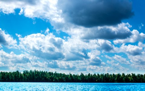 green trees across blue body of water under cloudy sky photo