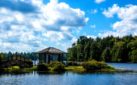 Sky, Lake, Trees