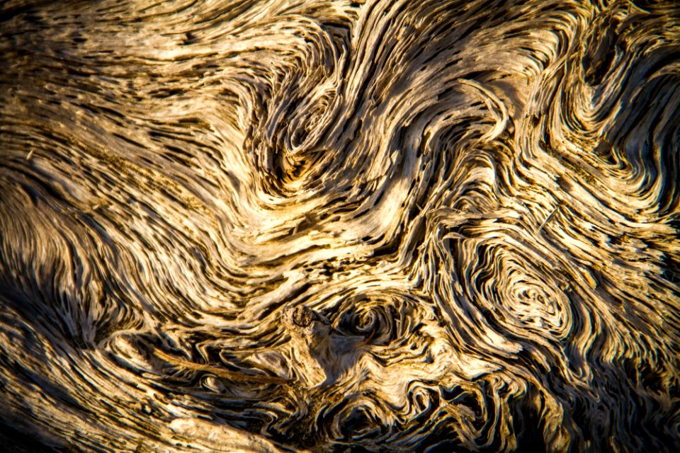 Abstract