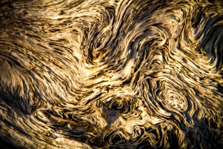 Abstract