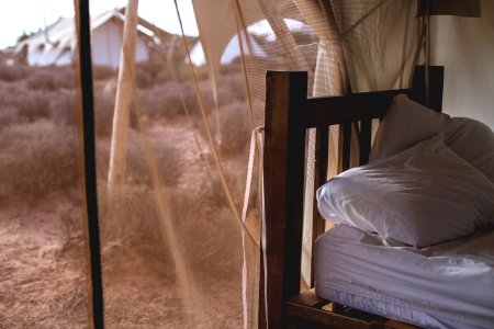 Dirt, Pillow, Bed