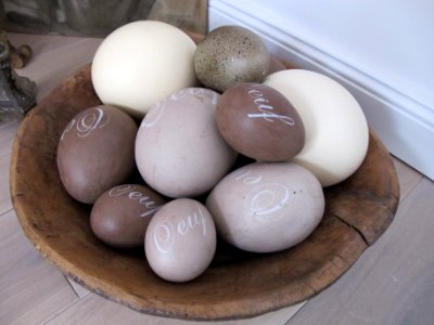 Nature, Easter, Egg