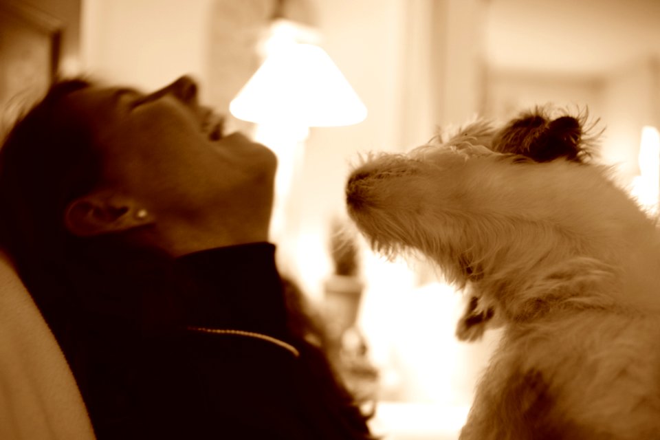Laugh, Dog