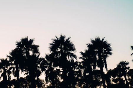Long beach, United states, Sunset