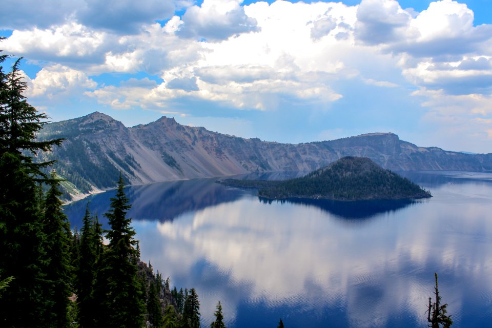 Forest, Trees, Lake photo