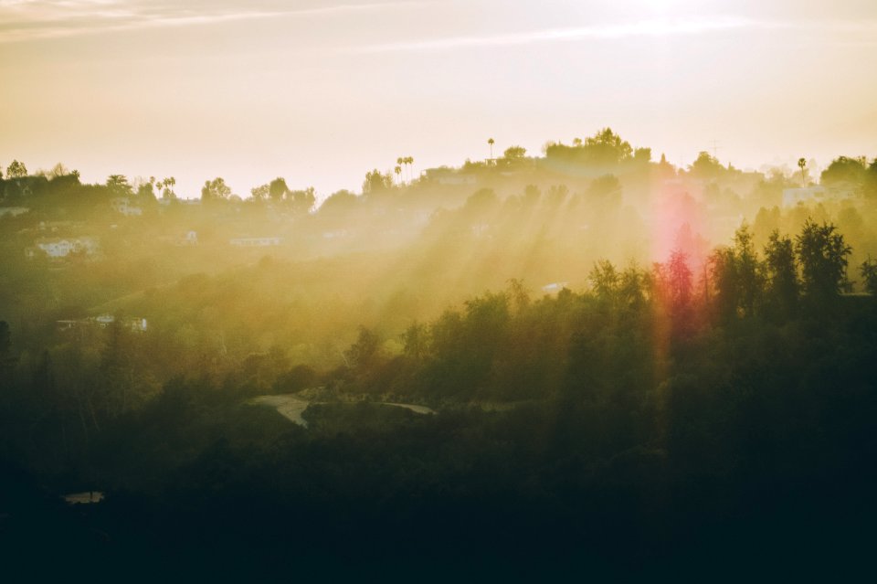 Beverly hills, United states, Yellow