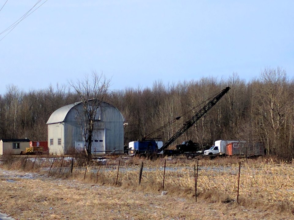Scape, Machines, Forest