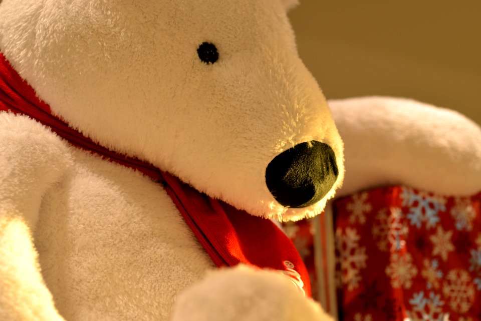 Macro shot, Toy, Teddy bear