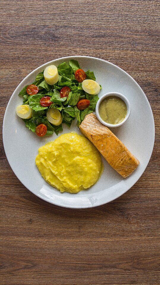 Palmetto salmon peruvian