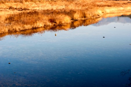 Nature, Korea, River