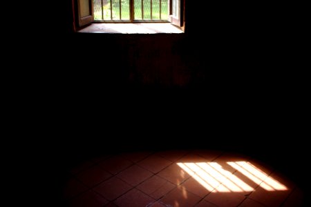 Light, Window, Palace