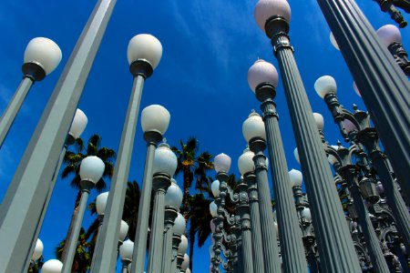 Los angeles, United states, Palm trees photo