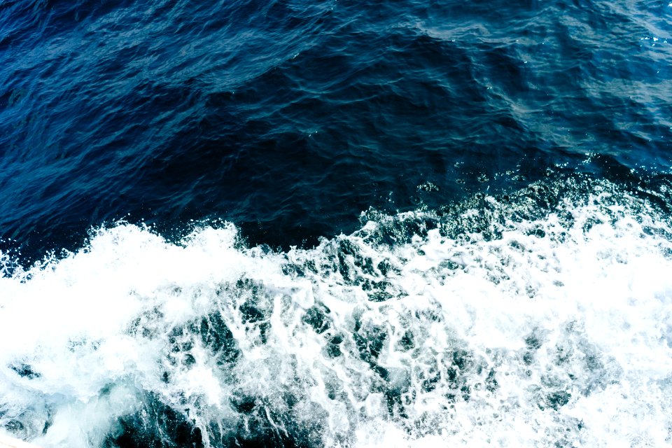 waves on body of water