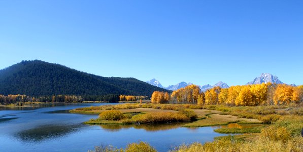 body of water and trees at daytime photo