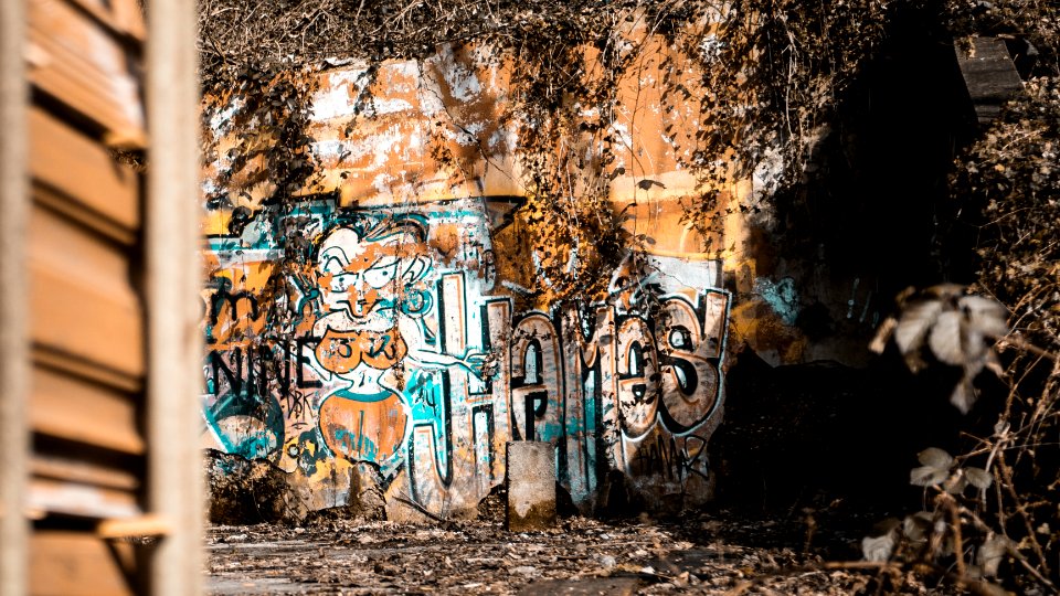 landscape photography of mural paints