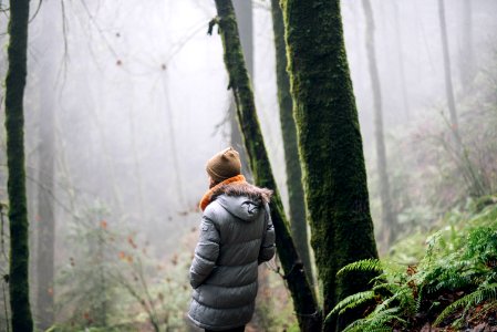 Nature, Portl, Forest park