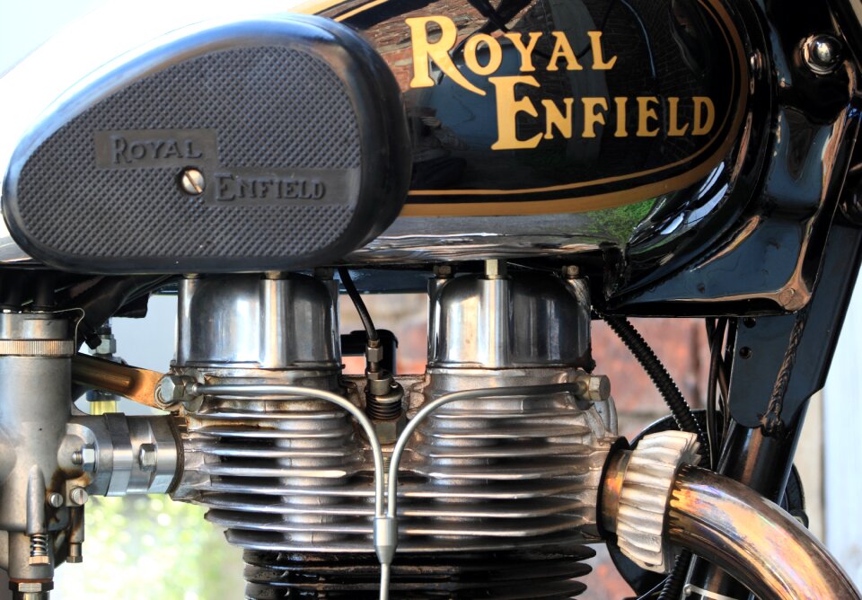 Royal single indian
