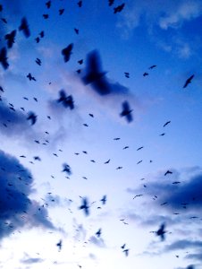 Odintsovo, Russia, Sky