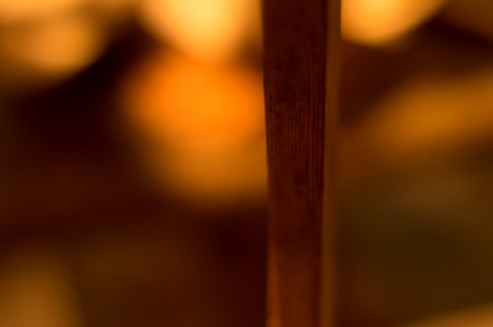 St. augustine, Bokeh, Tree