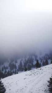 Fog, Nature, Exploring photo