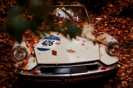 white vehicle covered in brown leaf lot