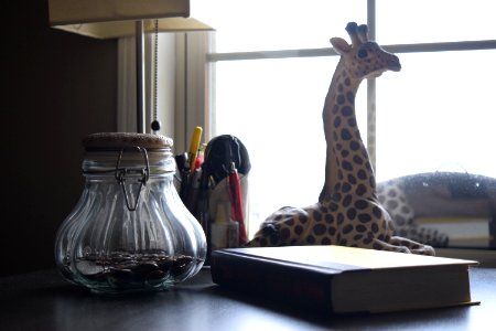 Books, Book, Glass