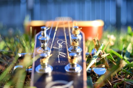 Musician, Playing, Ground