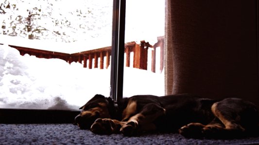 Truckee, United states, Snow