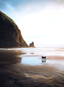 Haystack rock, United states, Pnw