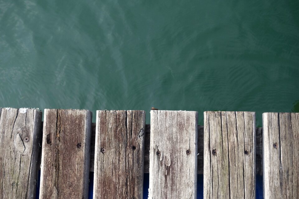 Nature water summer