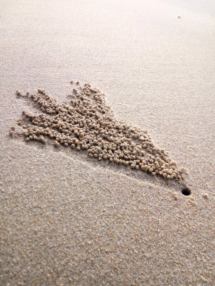 Malaysia, Pantai chendor, Kuantan