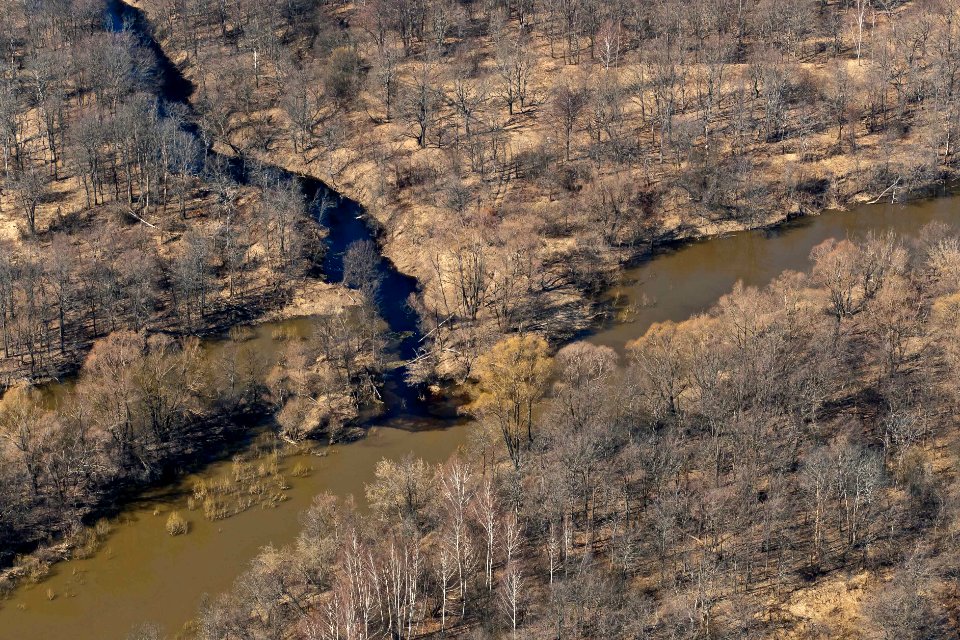 Spring, River, Forest