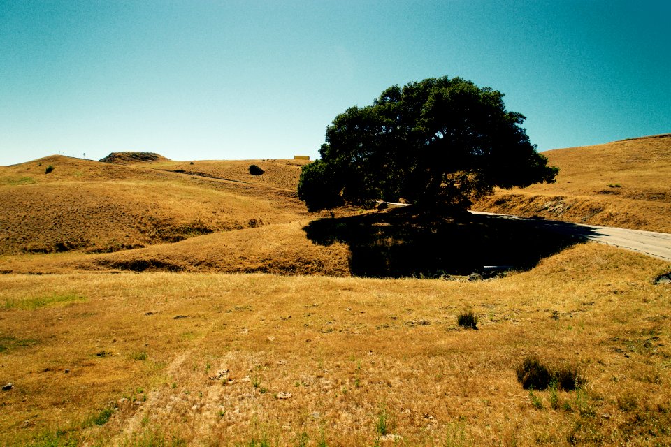 Usa, Road to herst castle, San simeon