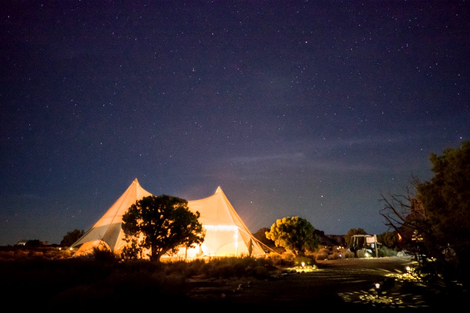 Camping, Trees, Stars