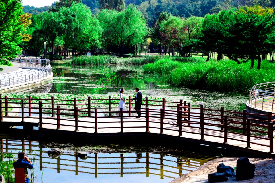 Ulsan, Photographer, Photo