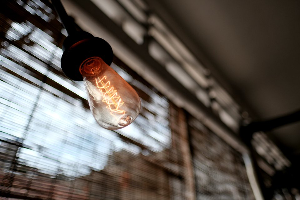 shallow focus photo of light bulb