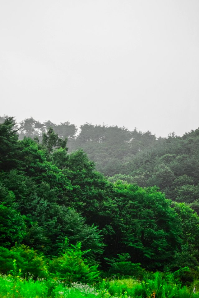 D5300, Photo, Vertical