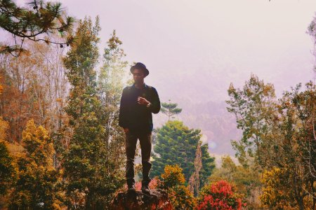 man standing on rock surrounded by trees photo