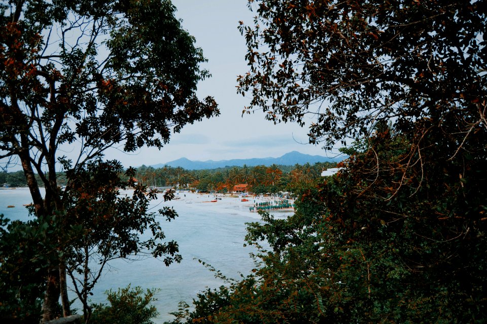 Banten, Indonesia, Forest