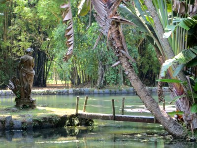 Rio de janeiro, Jardin botanico