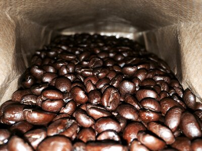 Coffee beans roasted beans photo